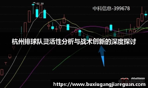 杭州排球队灵活性分析与战术创新的深度探讨